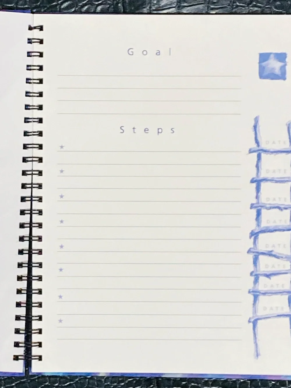 NEW The Book of Goals Journal Spiral Notebook by First Steps San Francisco